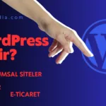 WordPress Nedir?