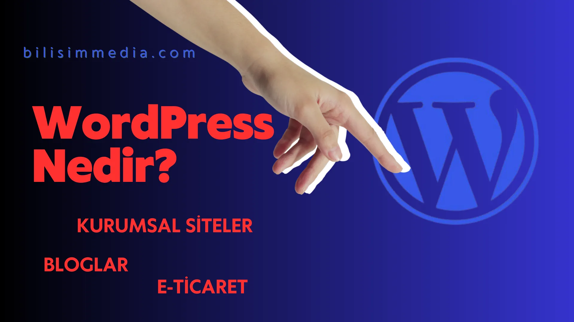WordPress Nedir?