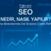 SEO Nedir?