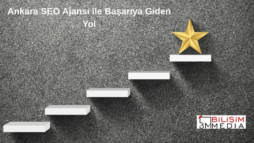 Ankara SEO Ajansı