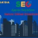 Ankara SEO Ajansı